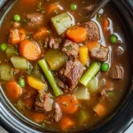 Crockpot Vegetable Beef Soup (full of flavor!)