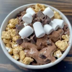 Double Chocolate Protein ;mores Bowl is the Best Protein-Packed Treat